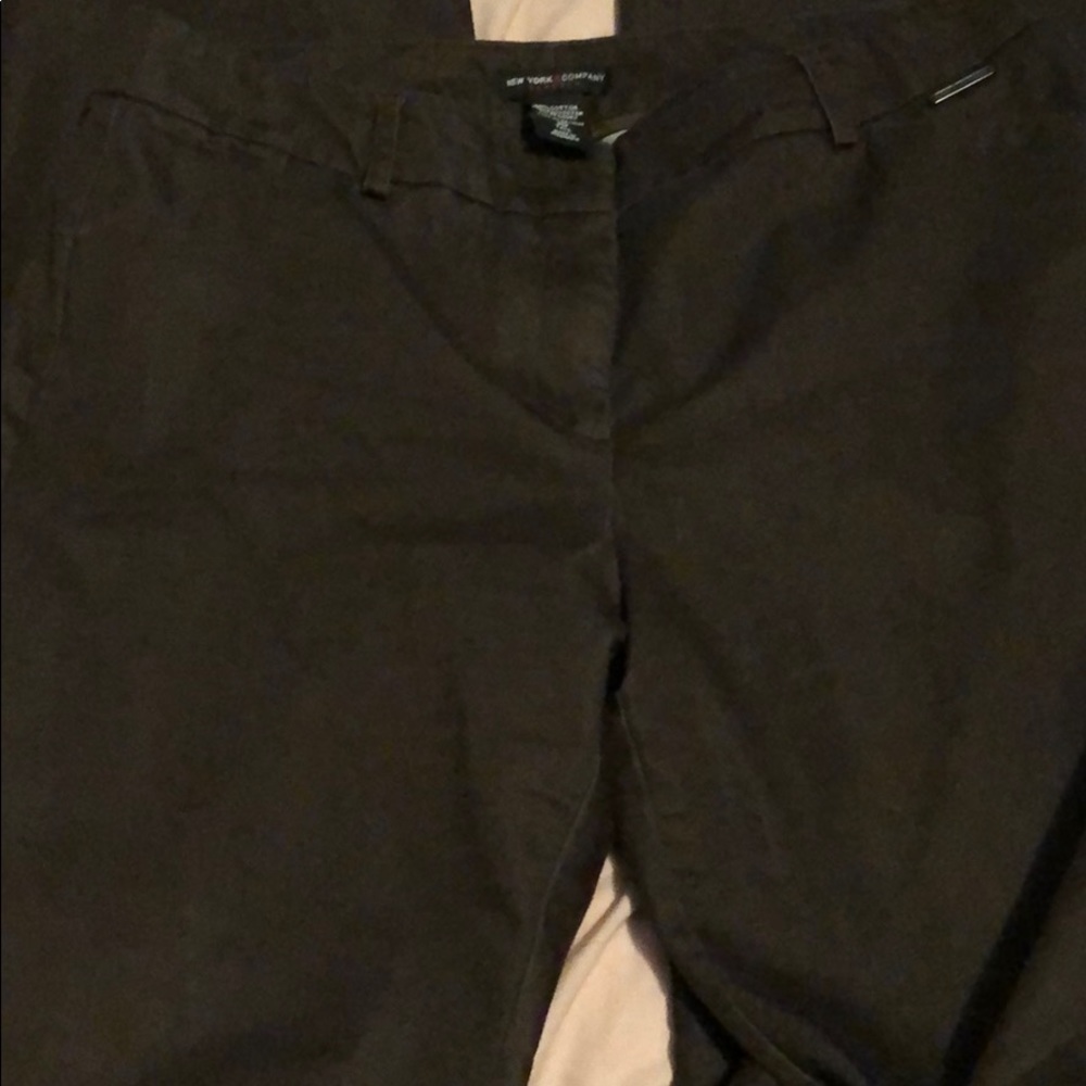 New York & Company brown tall pants